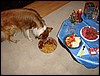 DSC00655.JPG