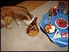 DSC00656.JPG