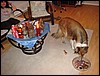 DSC00662.JPG