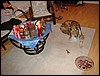 DSC00663.JPG