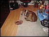 DSC00664.JPG
