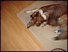 DSC00665.JPG