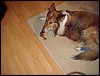 DSC00666.JPG