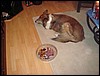 DSC00667.JPG