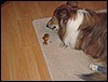 DSC00668.JPG