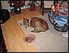 DSC00669.JPG