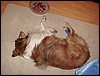 DSC00670.JPG
