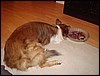 DSC00672.JPG