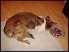 DSC00673.JPG
