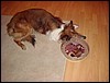 DSC00674.JPG