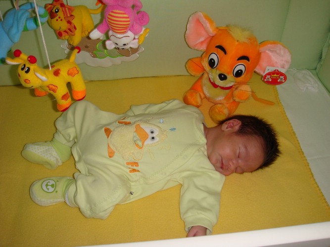 DSC00937.JPG