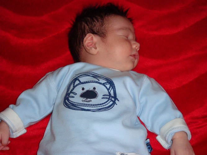 DSC00950.JPG