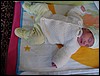 DSC00930.JPG