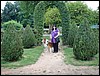 DSC00810.JPG