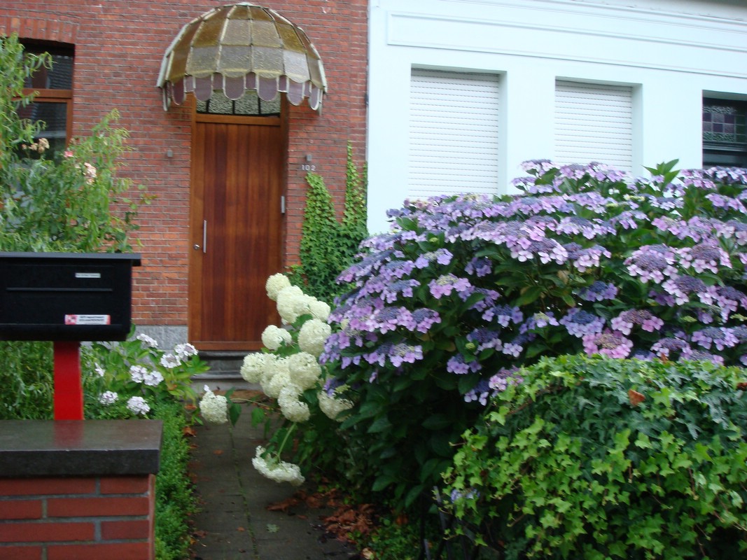 DSC00750.JPG