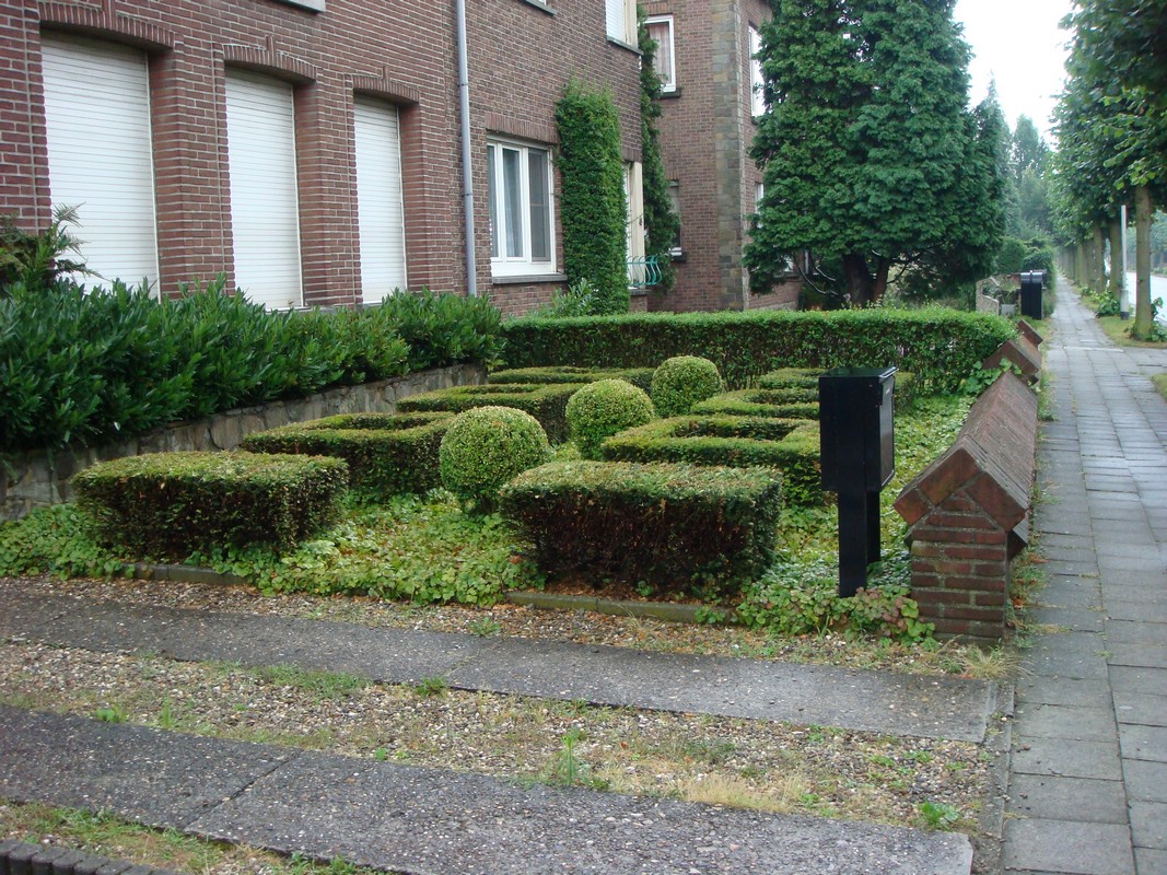 DSC00752.JPG
