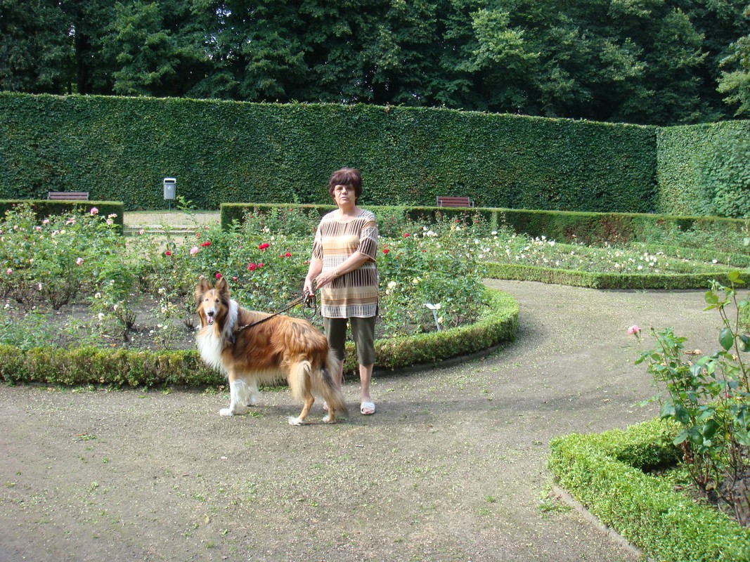 DSC00765.JPG
