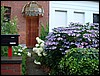 DSC00750.JPG