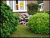 DSC00753.JPG